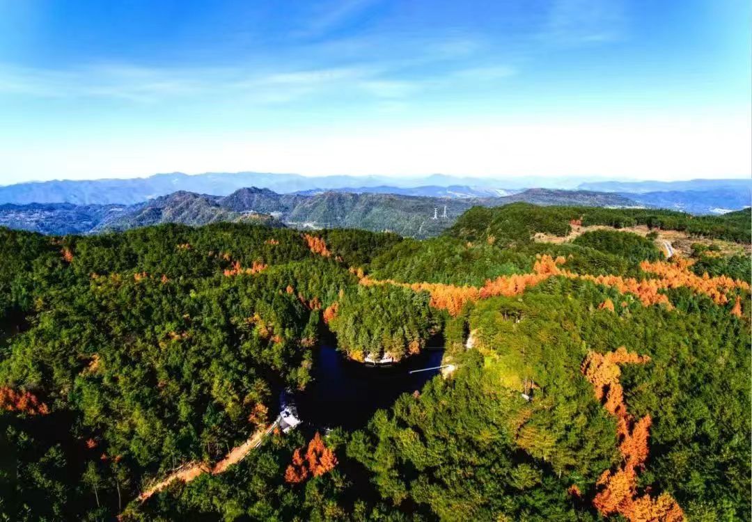 苍溪景色.jpg