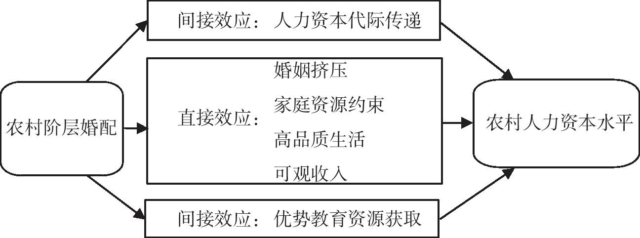图1农村阶层婚配影响人力资本的理论分析框架.jpg